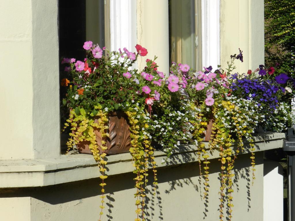 Balmoral Guesthouse Edinburgh Exterior foto